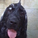 julia bass - @juliepurplebass - Twitter