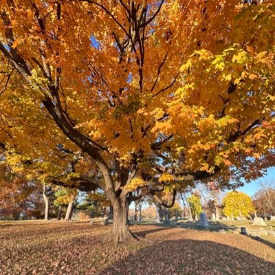 revdrnick's profile picture. a thinker who thoughtfully thinks about thinking and thoughts.