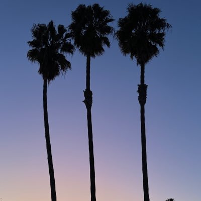 stefism's profile picture. non-fiction filmmaker | she/her 🏳️‍🌈🇨🇾🇬🇧