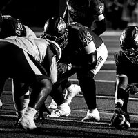 Jaylen Fields (@jaylenfields0) 's Twitter Profile