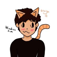 drew chan :3 (@illegaltacoo) 's Twitter Profile