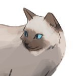 maouw✦cms closed! Profile