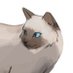 maouw✦cms open! (@maouwci) Twitter profile photo maouw✦cms open! (@maouwci) Twitter profile photo