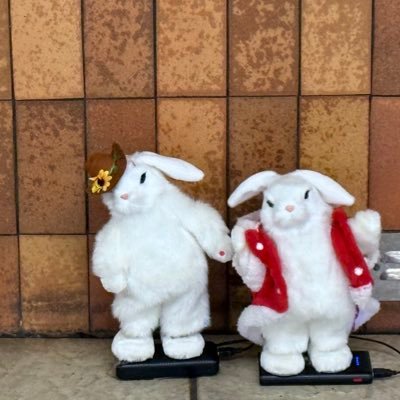 jounazN's profile picture. 