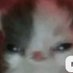 😥😥 (@peereennnn) Twitter profile photo 😥😥 (@peereennnn) Twitter profile photo