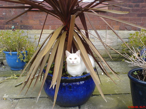 AlisonFox68's profile picture. 