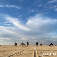 سعد (@saadsaa44725138) 's Twitter Profile
