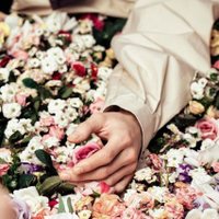 ㅈㅅ (@sbwlffosem0930) 's Twitter Profile