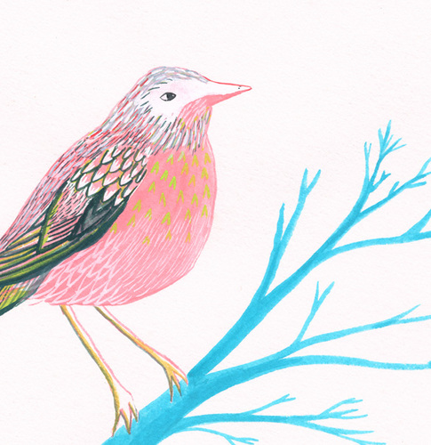 pinkwoodpecker's profile picture. Ballet obsessive. Lover of the arts, food, wine, and far away places. Junior tweeter!