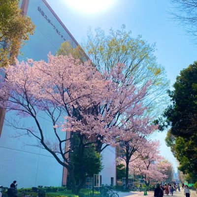 スポーツ施設 営業時間9時〜22時(休館日:第4月曜日) ◆戸山公園内にあります◆プール🏊♂️ ◆トレーニング室🏋️♂️ ◆多目的コート(体育館)🏀 ◆ゴルフ場⛳️ ◆武道場🥋 ◆スタジオレッスン🧘♀️ ◆最寄駅:高田馬場徒歩10分 西早稲田駅徒歩7分