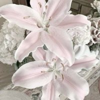 ⊹˚ pl☆ngพิณ 🎼 (@_pl3ngmypinin) 's Twitter Profile Photo ⊹˚ pl☆ngพิณ 🎼 (@_pl3ngmypinin) 's Twitter Profile Photo