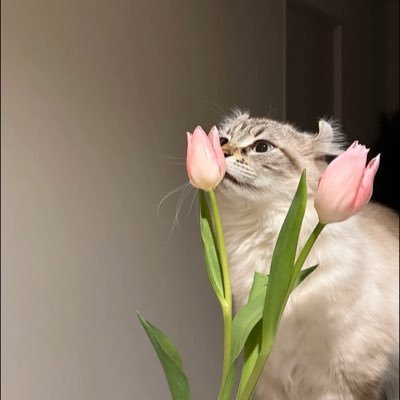 vfnlcz2's profile picture. 