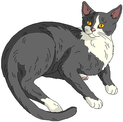 jeanajordan's profile picture. LeftBrain thinker conflicted w/RightBrain musings. #Zionist Surviving #OvarianCancer My savior #Yeshua