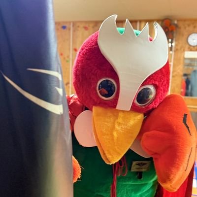 福島県矢吹町ご当地キャラ?やぶきじくんです♪よろしく(^^ゞ キャラ界の暴君目指す♪ 暴君は カパル殿からの命名
趣味 長電話 バイク 空手
キャラ初?狩猟免許持ちのきじです笑
ネオざつ党所属