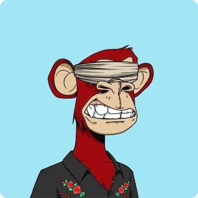 benwgmi_cliam's profile picture. Memecoins final boss | $SOL | DM for Collabs