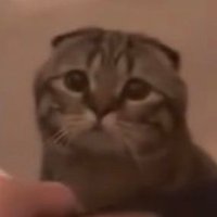 edin best boi 🫶🏽 (@nongedin) 's Twitter Profile Photo edin best boi 🫶🏽 (@nongedin) 's Twitter Profile Photo