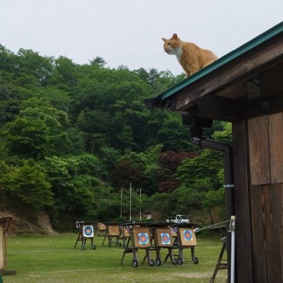 apecs43's profile picture. 小学生中学生とアーチェリーして過ごしたりしてます/S2000/ランクル250/アクア
