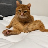 つくる。 (@deco89diy) 's Twitter Profile