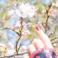 あき。 (@akimaru_camera) 's Twitter Profile