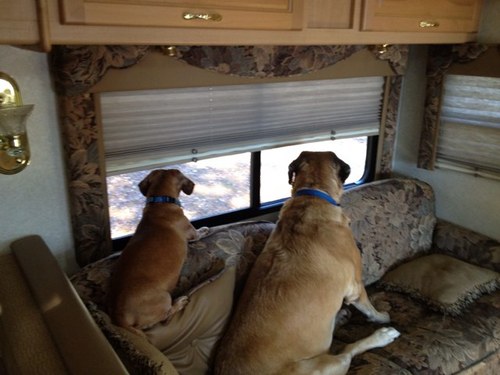 jmb245kf's profile picture. 