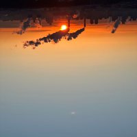 Boss (@under_worldboss) 's Twitter Profile