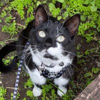 ๐ณ๏ธโ๐Mitzi ๐ Dook (RIP)๐ฆ๐บ (@missyelsie) 's Twitter Profile Photo ๐ณ๏ธโ๐Mitzi ๐ Dook (RIP)๐ฆ๐บ (@missyelsie) 's Twitter Profile Photo