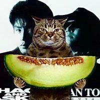 🍈あきき🍈 (@akiki_melomelon) Twitter profile photo