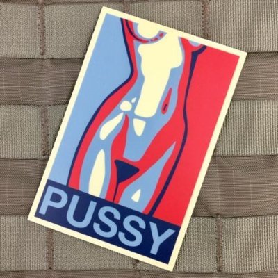 Fantasies of female domination over men... #bottomless #CFNM #CMNF #femdom #femmesupremacy #submission #facesitting #pissing #ballbusting / For over 18 years