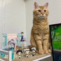はやし (@homowo_amu) 's Twitter Profile Photo はやし (@homowo_amu) 's Twitter Profile Photo