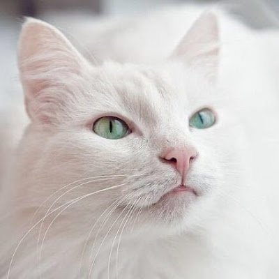 WoXiao90612's profile picture. 