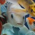 Retired_Account Profile picture
