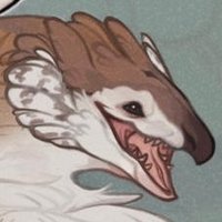 Shegoran (@shegoran) 's Twitter Profile