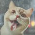 пан Паяльник (@aformusyak) Twitter profile photo пан Паяльник (@aformusyak) Twitter profile photo
