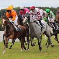 Turf Corsica (@antho09b) 's Twitter Profile