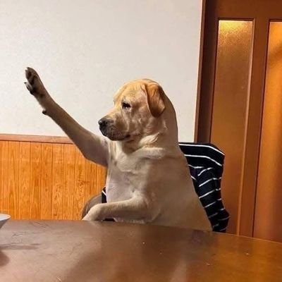 Jerrydenerd's profile picture. Bookworm