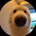 ยูกหมาแว่น (@b_lackoom4) Twitter profile photo ยูกหมาแว่น (@b_lackoom4) Twitter profile photo