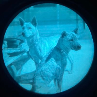 @KAPPA_NVG
