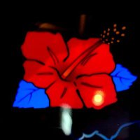 養分兼業AL🌺 (@king_hana87) 's Twitter Profile