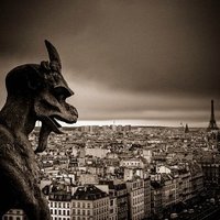 Torinity702 (@torinity702) 's Twitter Profile