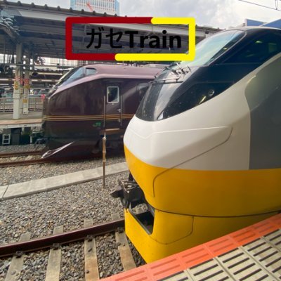 GaseTrain1133's profile picture. 