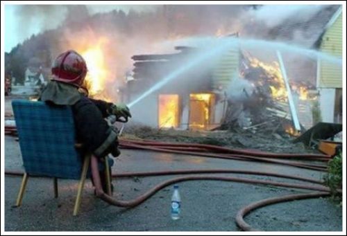 role31's profile picture. 