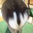 yk_piglet's profile image