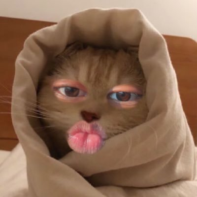 vicksbr's profile picture. if you’re not angry, you haven’t been paying attention