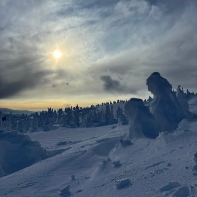 kabu_takusan's profile picture. 株の勉強始めました🗒️需給とチャート読み頑張るぞ💪