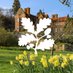 ChartwellNT (@chartwellnt) Twitter profile photo ChartwellNT (@chartwellnt) Twitter profile photo