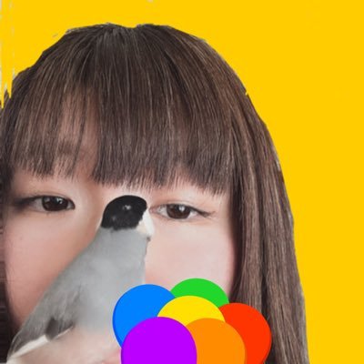 chimmpii's profile picture. いろいろ✍️💭 きーちゃん（セキセイインコ）・ひなちゃん（桜文鳥）2羽とも2歳。NEP会員💋眼鏡好き👓