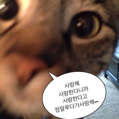 lllmlu's profile picture. 