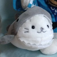 うっしー (@miracle6719) 's Twitter Profile