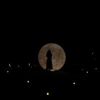 guillotine girl (@guill0tinegirl) 's Twitter Profile Photo guillotine girl (@guill0tinegirl) 's Twitter Profile Photo