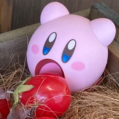 るがーさんのプロフィール画像
